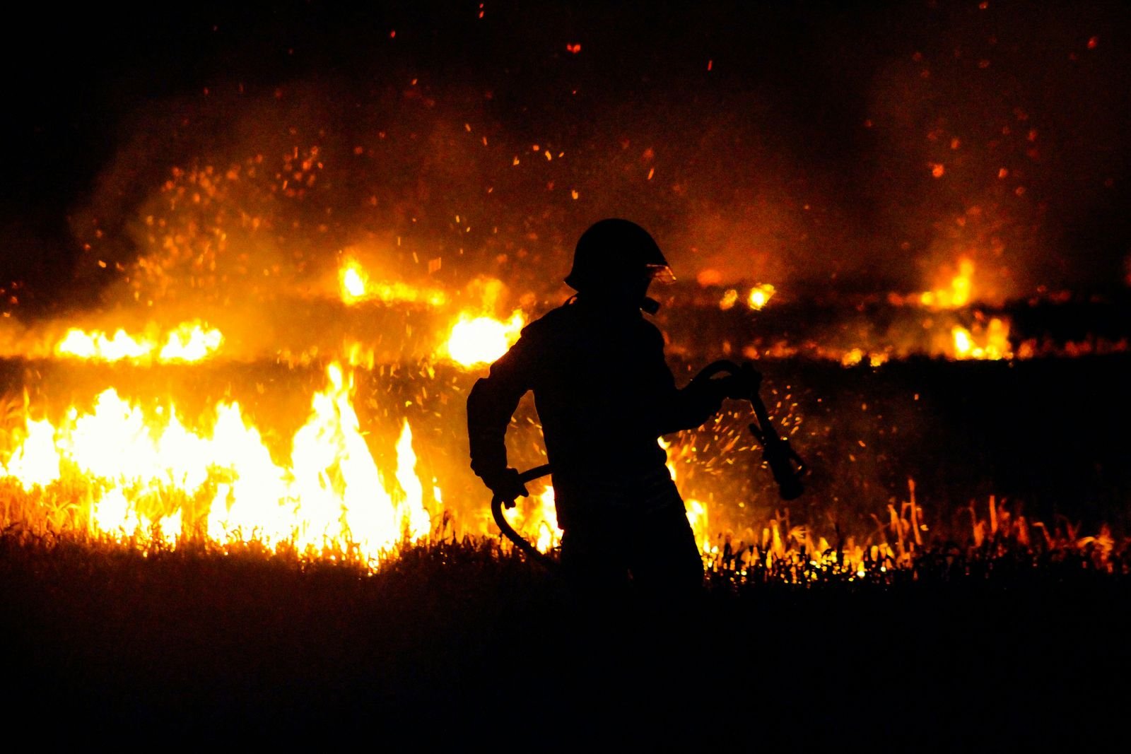 Wildfire early-warning sensor grid